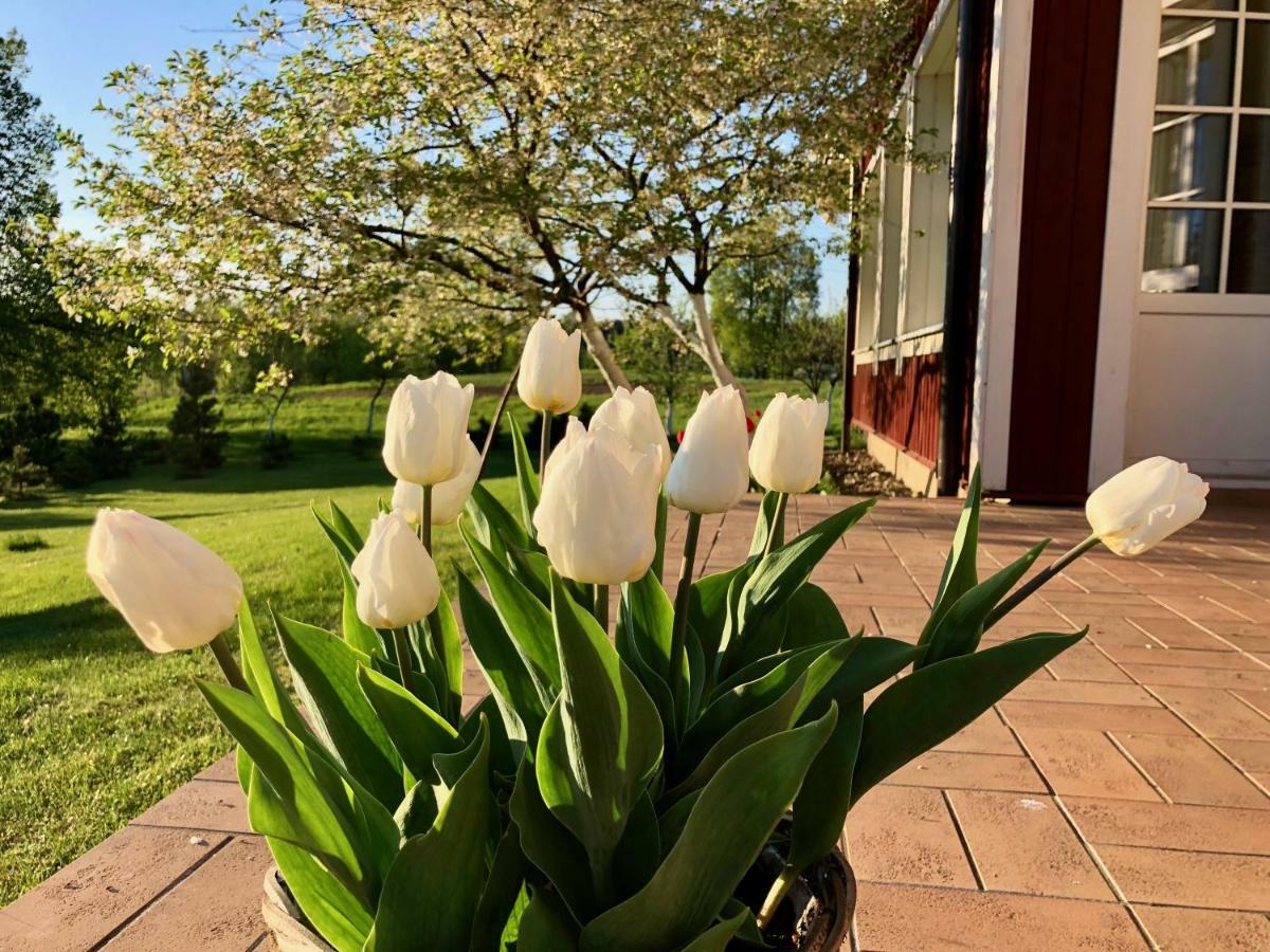 Villa Sofia Boutique Trakai Kültér fotó